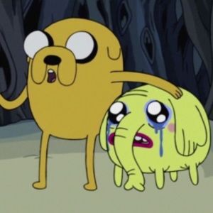 Meet your Posher, Maddie